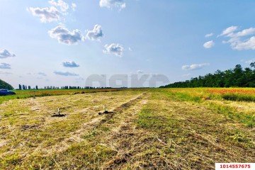 Фото №4: Участок садоводство 4 сот. - Краснодарский край Динской район