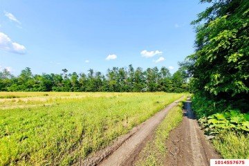 Фото №1: Участок садоводство 4 сот. - Краснодарский край Динской район