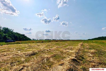 Фото №5: Участок садоводство 8 сот. - Краснодарский край Динской район
