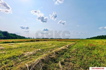 Фото №4: Участок садоводство 8 сот. - Краснодарский край Динской район