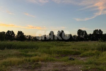 Фото №4: Личное подсобное хозяйство - Краснодарский край Кореновский район