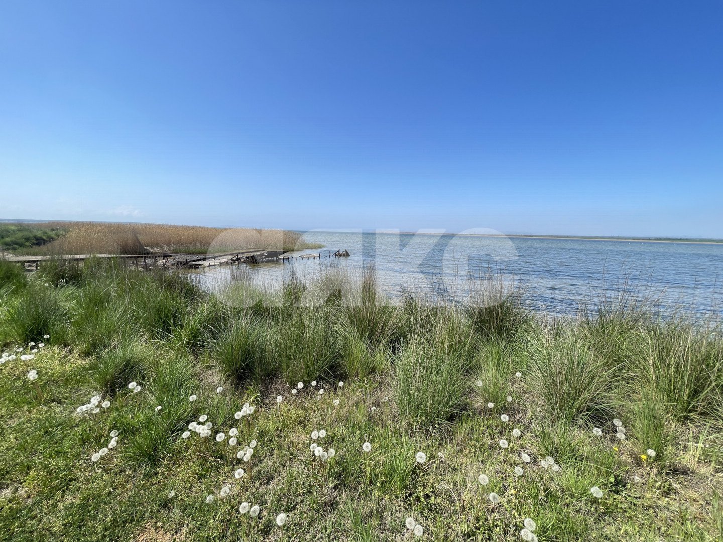 Фото №3: Земельный участок под ИЖС 791 сот. - Запорожская, пер. Морской, 21