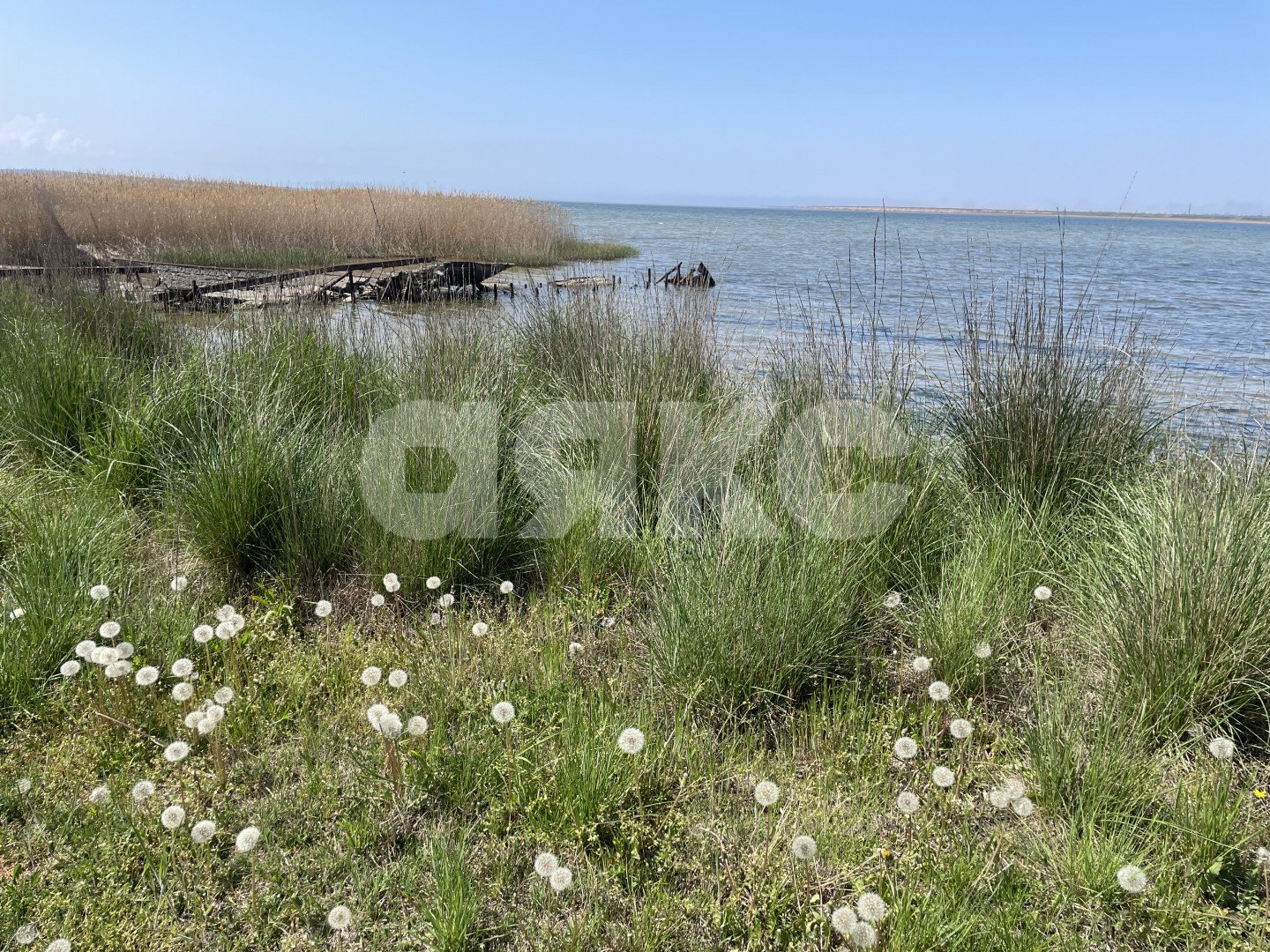 Фото №21: Дом 132 м² + 1573 сот. - Запорожская, ул. Ленина