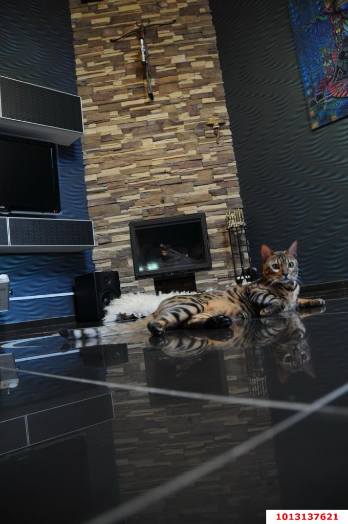 Фото №2: 3-комнатная квартира 137 м² - Краснодар, Прикубанский внутригородской округ, мкр. Восточно-Кругликовский, ул. Черкасская, 71