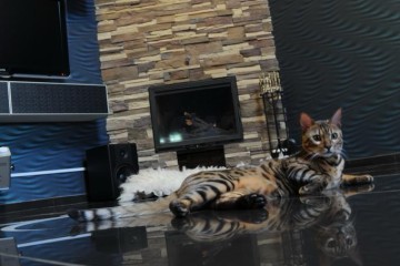 Фото №2: 3-комнатная квартира 137 м² - Краснодар, мкр. Восточно-Кругликовский, ул. Черкасская, 71