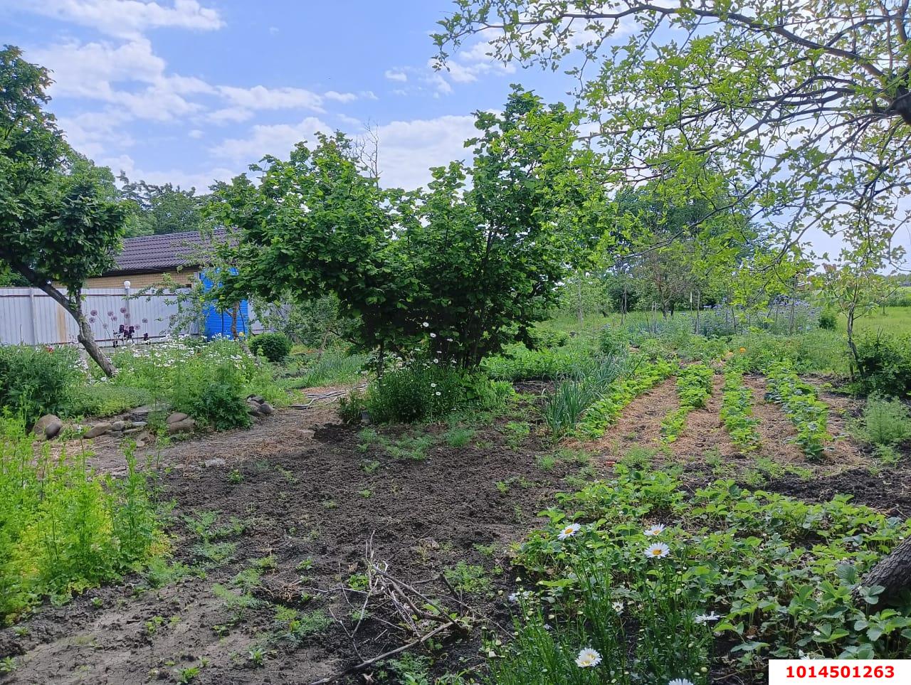 Фото №8: Дом 115 м² + 14.11 сот. - Новомышастовская, ул. Северная, 126