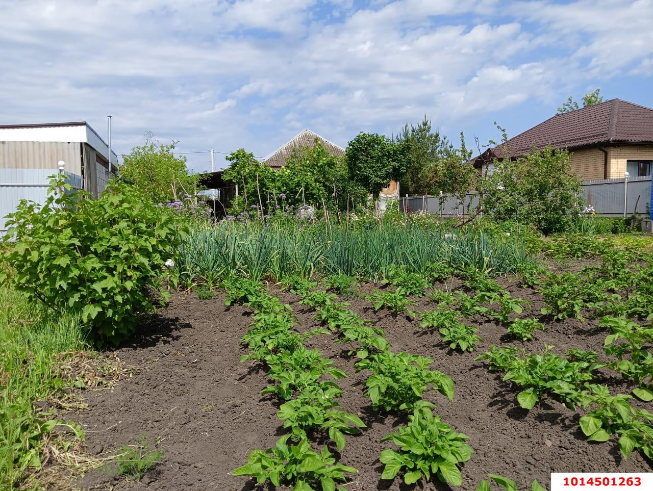 Фото №7: Дом 115 м² + 14.11 сот. - Новомышастовская, ул. Северная, 126