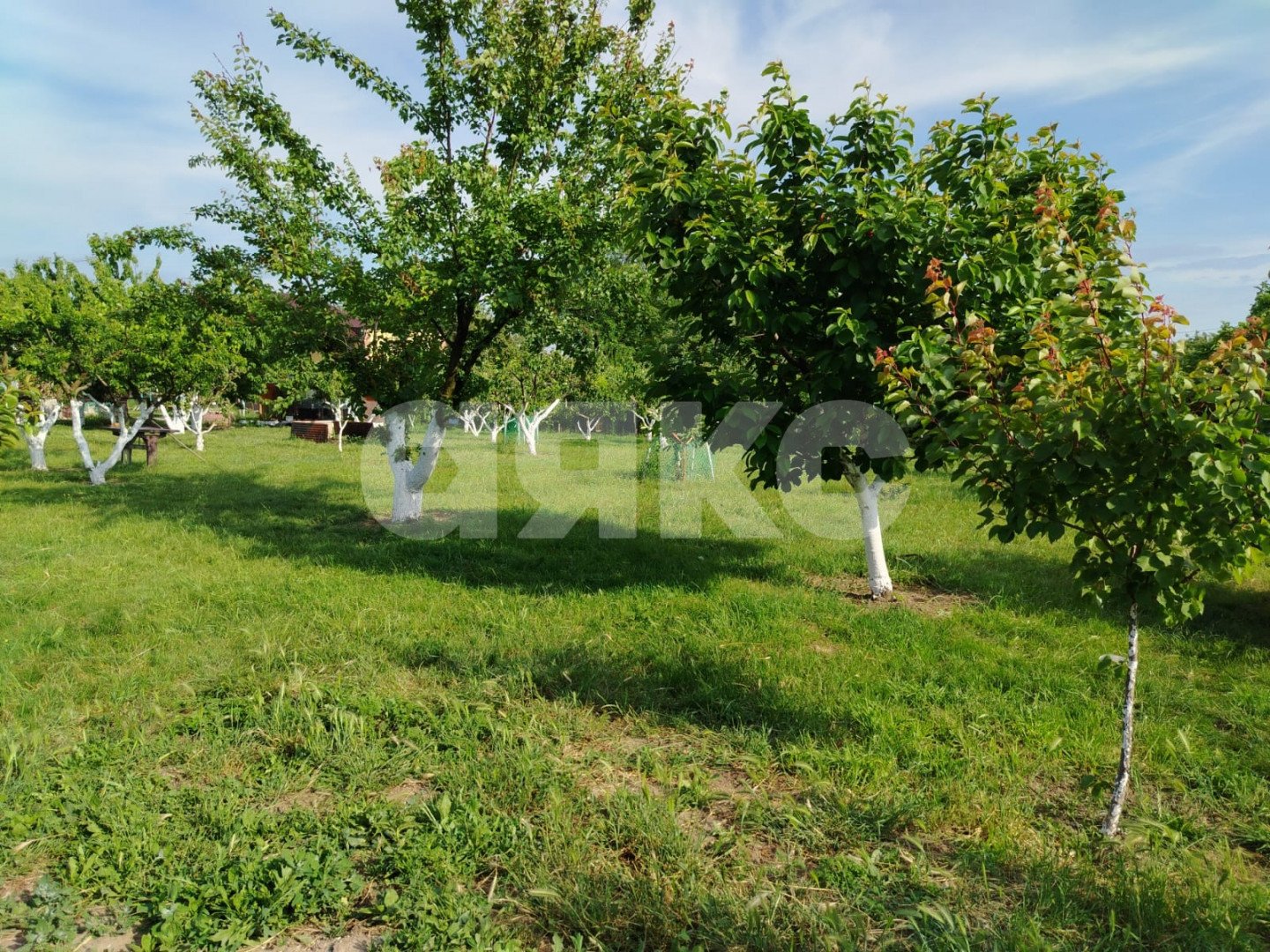 Фото №5: Земельный участок под ИЖС 6 сот. - Юровка, ул. Екатеринодарская