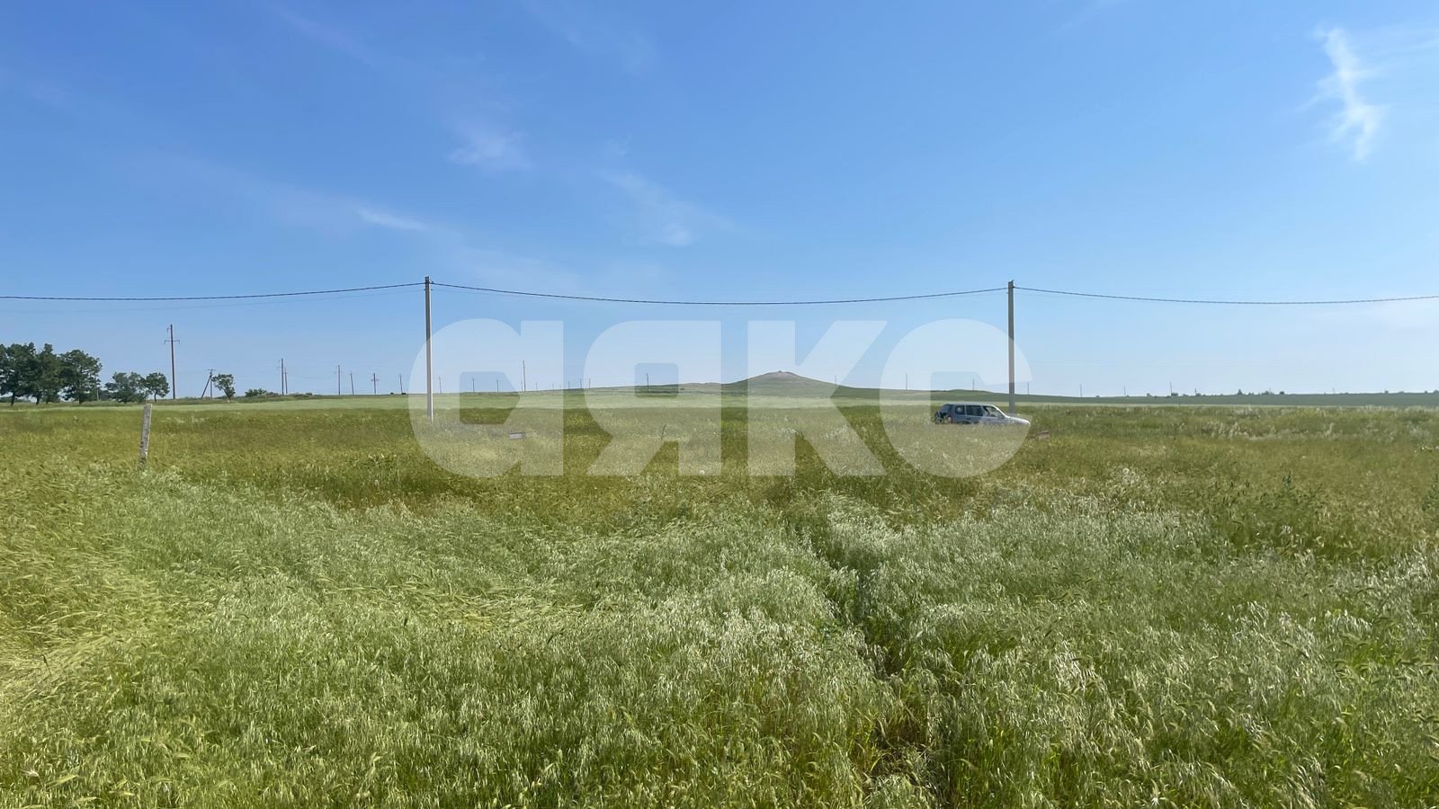 Фото №7: Личное подсобное хозяйство 4 сот. - Ахтанизовская, 