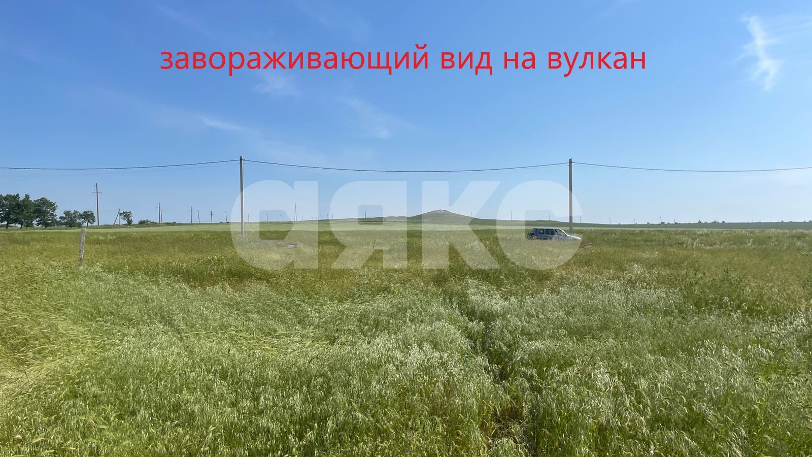 Фото №6: Личное подсобное хозяйство 4 сот. - Ахтанизовская, 