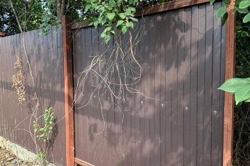 Фото №5: Земельный участок под ИЖС 27 сот. - Екатериновский, ул. Центральная, 86А