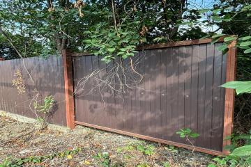 Фото №5: Земельный участок 27 сот. - Екатериновский, ул. Центральная, 86А