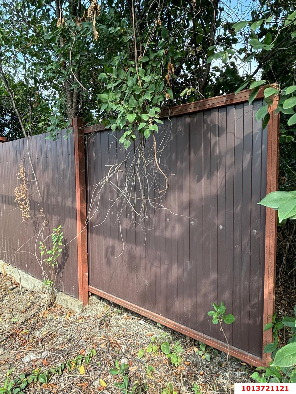 Фото №5: Земельный участок под ИЖС - Екатериновский, ул. Центральная, 86А