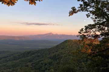 Фото №2: Земельный участок 20 сот. - Даховская, ул. Почтовая, 26