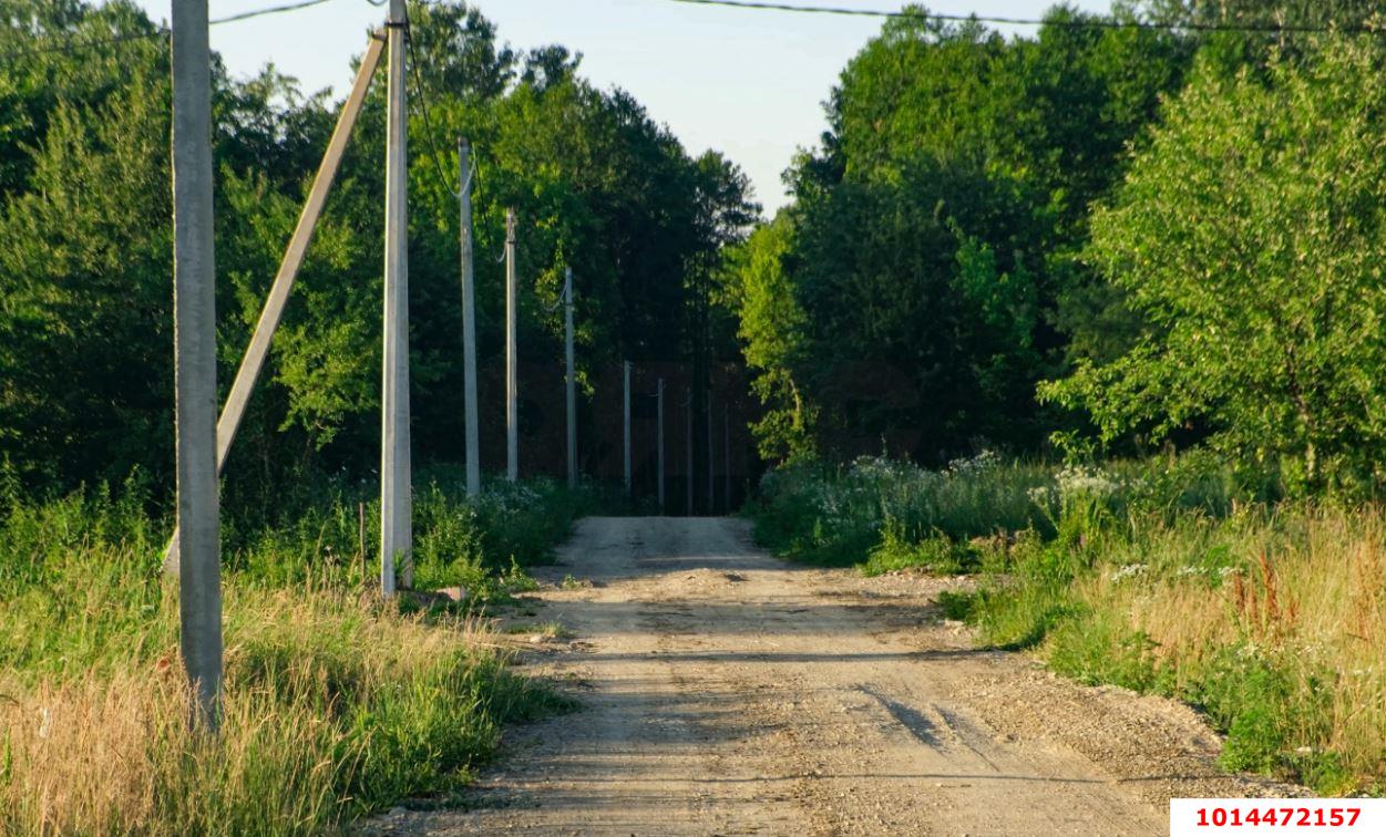 Фото №12: Личное подсобное хозяйство - Краснодарский край муниципальный округ Горячий Ключ