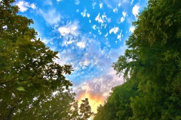 Фото №2: Земельный участок под ИЖС 6 сот. - Дорожник, мкр. Прикубанский внутригородской округ, ул. Сливовая, 50