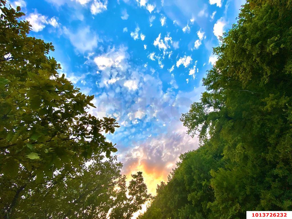 Фото №2: Земельный участок под ИЖС 6 сот. - Дорожник, Прикубанский внутригородской округ, ул. Сливовая, 50