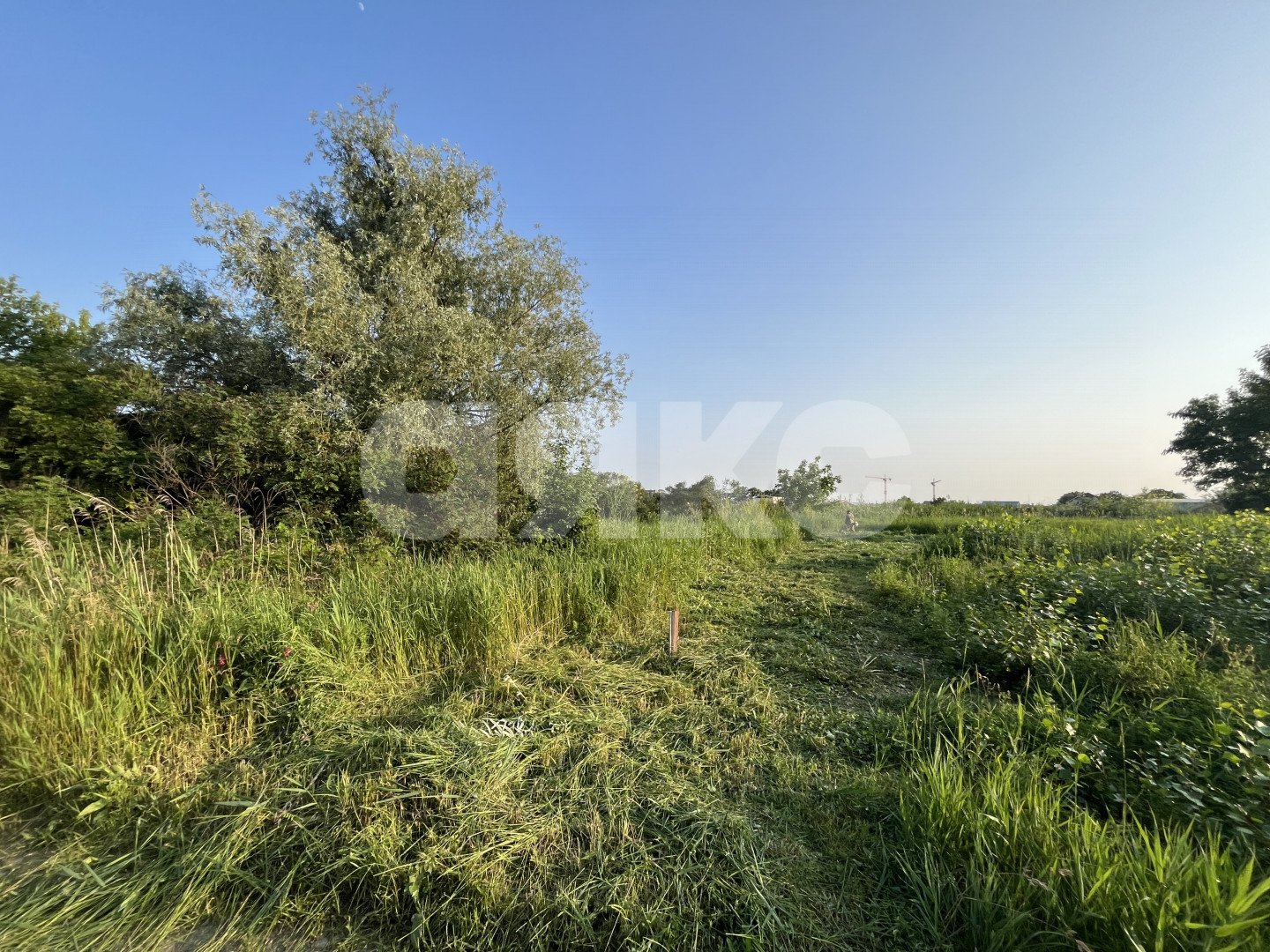 Фото №3: Дачное некоммерческое партнерство 6 сот. - Центральной усадьбы совхоза Юбилейный, СНТ Юбилейное, 