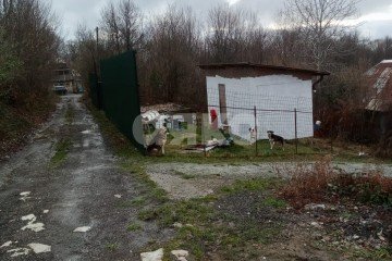 Фото №2: Участок садоводство - Сочи, ж/р Хоста, 