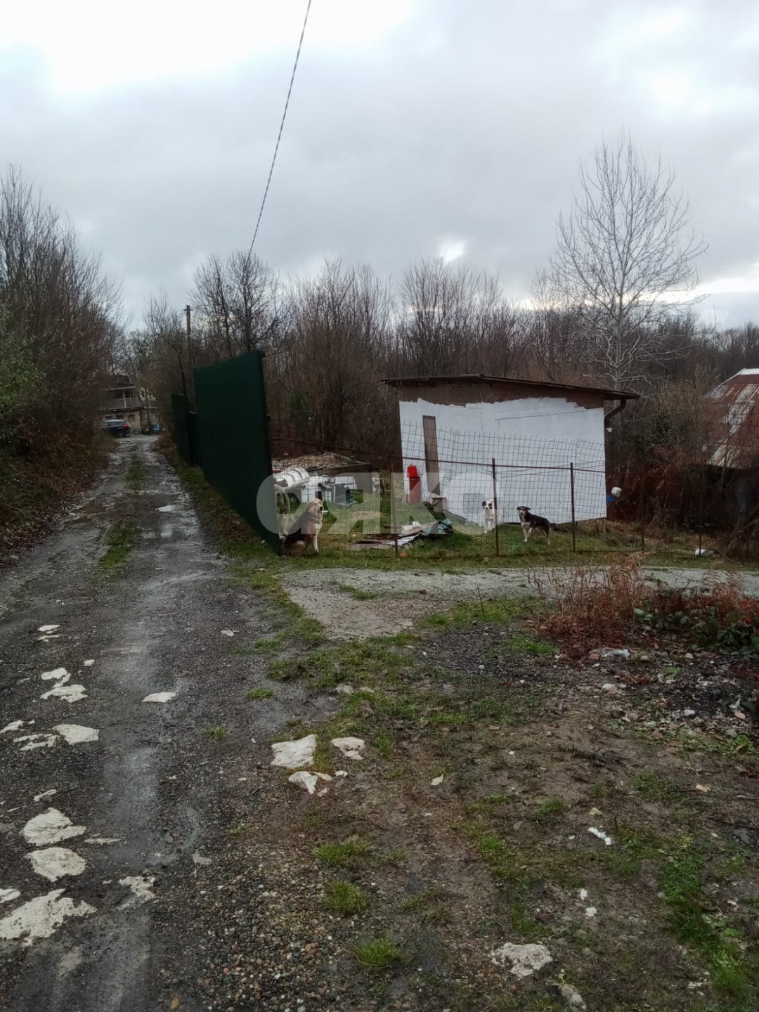 Фото №2: Участок садоводство 5 сот. - Сочи, Хоста, 