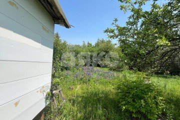Фото №3: Дача 25 м² - Проектировщик, мкр. Зареченский территориальный округ, 54