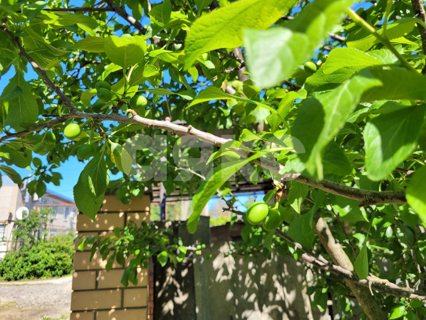 Фото №28: 2-комнатная квартира 48 м² - Кучугуры, ул. Красная, 16