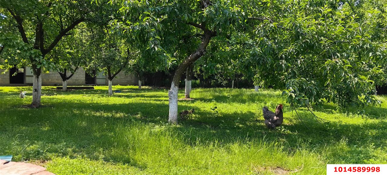 Фото №14: Дом 129 м² + 36 сот. - Кунчукохабль, ул. Ленина, 8