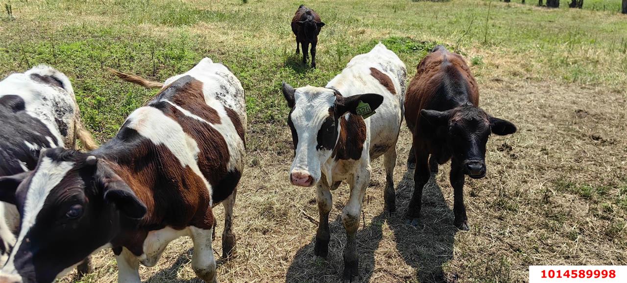 Фото №13: Дом 129 м² + 36 сот. - Кунчукохабль, ул. Ленина, 8