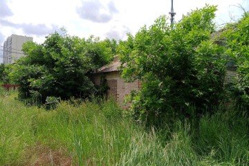 Фото №4: Студия 109 м² - Краснодар, мкр. Горхутор, ул. Зоотехническая, 1