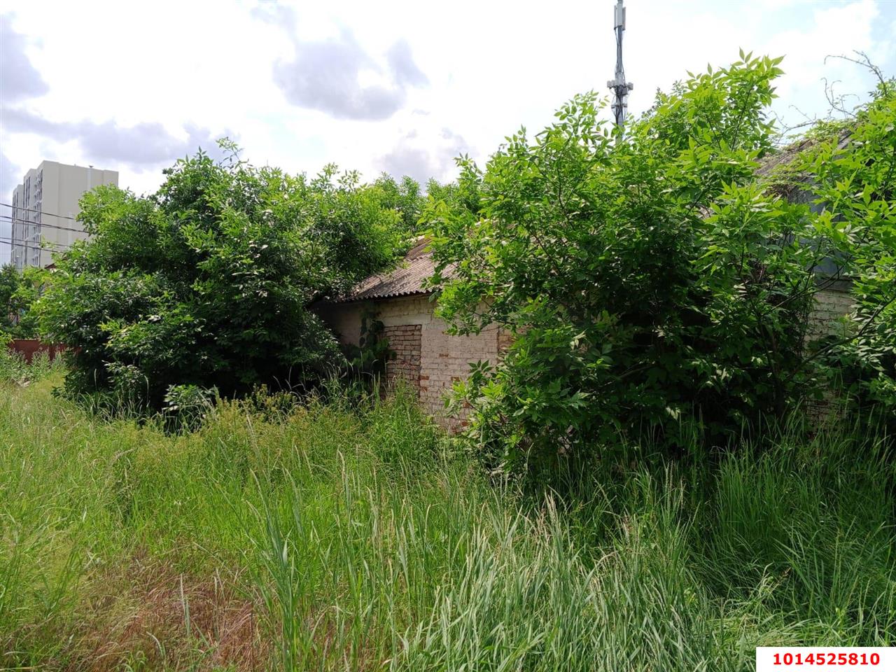 Фото №4: Студия 109 м² - Краснодар, Горхутор, ул. Зоотехническая, 1