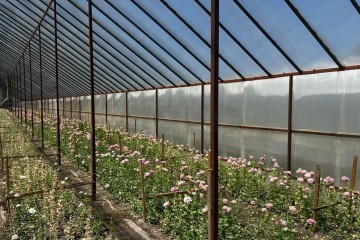 Фото №4: Дом 61 м² - Нововеличковская, ул. Пролетарская, 23