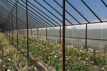 Фото №4: Дом 61 м² - Нововеличковская, ул. Пролетарская, 23