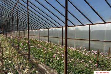 Фото №4: Дом 61 м² - Нововеличковская, ул. Пролетарская, 23