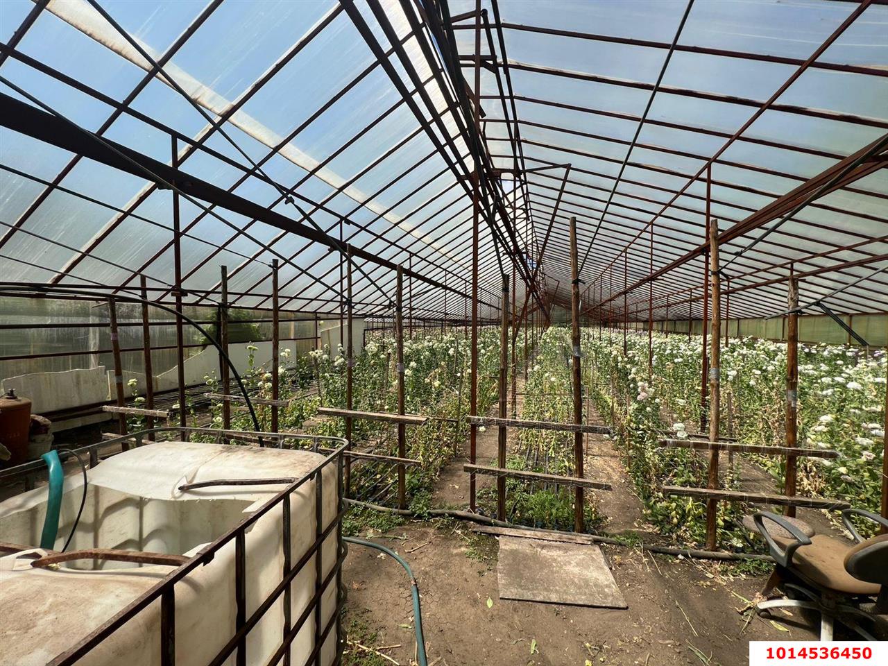 Фото №6: Дом 61 м² + 24.5 сот. - Нововеличковская, ул. Пролетарская, 23