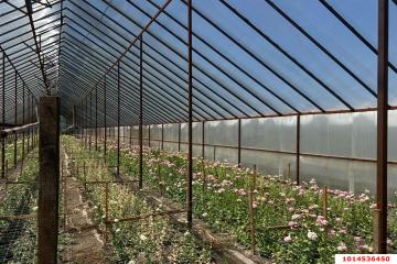 Фото №5: Дом 61 м² - Нововеличковская, ул. Пролетарская, 23