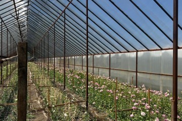 Фото №5: Дом 61 м² - Нововеличковская, ул. Пролетарская, 23