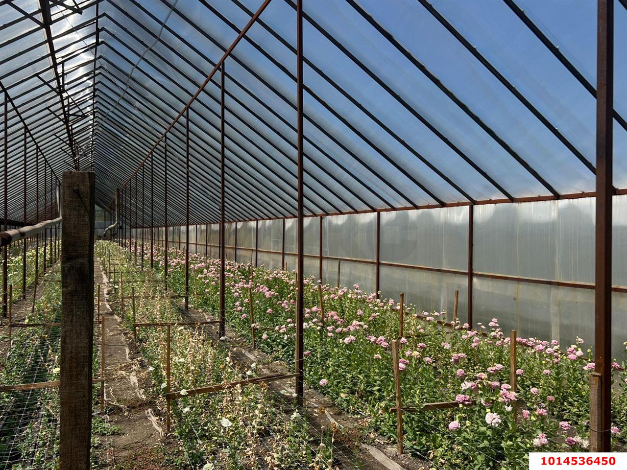 Фото №5: Дом 61 м² + 24.5 сот. - Нововеличковская, ул. Пролетарская, 23