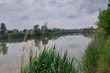 Фото №1: Участок садоводство 5.81 сот. - СНТ Радуга, мкр. Прикубанский внутригородской округ, ул. 2-я Береговая, 294