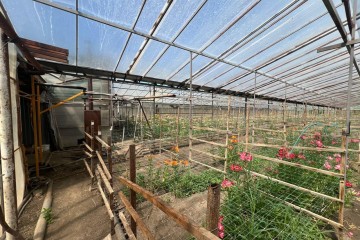 Фото №3: Земельный участок под ИЖС 17 сот. - Нововеличковская, ул. Фрунзе, 63