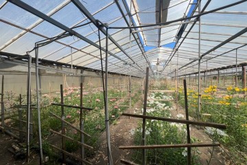 Фото №4: Земельный участок под ИЖС 17 сот. - Нововеличковская, ул. Фрунзе, 63