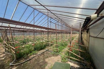 Фото №5: Земельный участок 17 сот. - Нововеличковская, ул. Фрунзе, 63