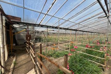 Фото №3: Земельный участок 17 сот. - Нововеличковская, ул. Фрунзе, 63