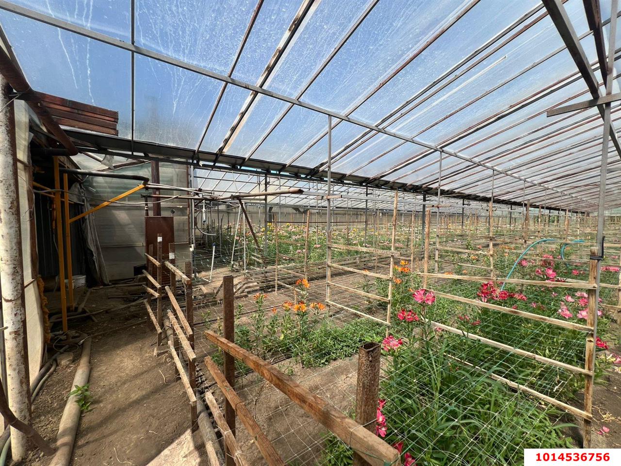 Фото №3: Земельный участок 17 сот. - Нововеличковская, ул. Фрунзе, 63