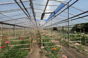 Фото №2: Земельный участок 17 сот. - Нововеличковская, ул. Фрунзе, 63