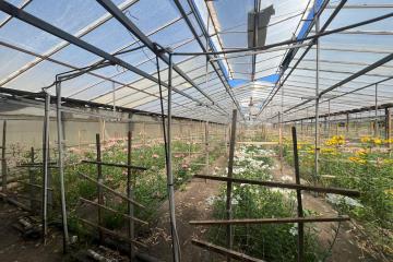 Фото №4: Земельный участок 17 сот. - Нововеличковская, ул. Фрунзе, 63