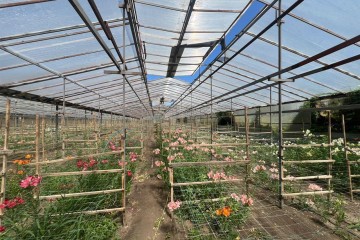 Фото №2: Земельный участок под ИЖС 17 сот. - Нововеличковская, ул. Фрунзе, 63