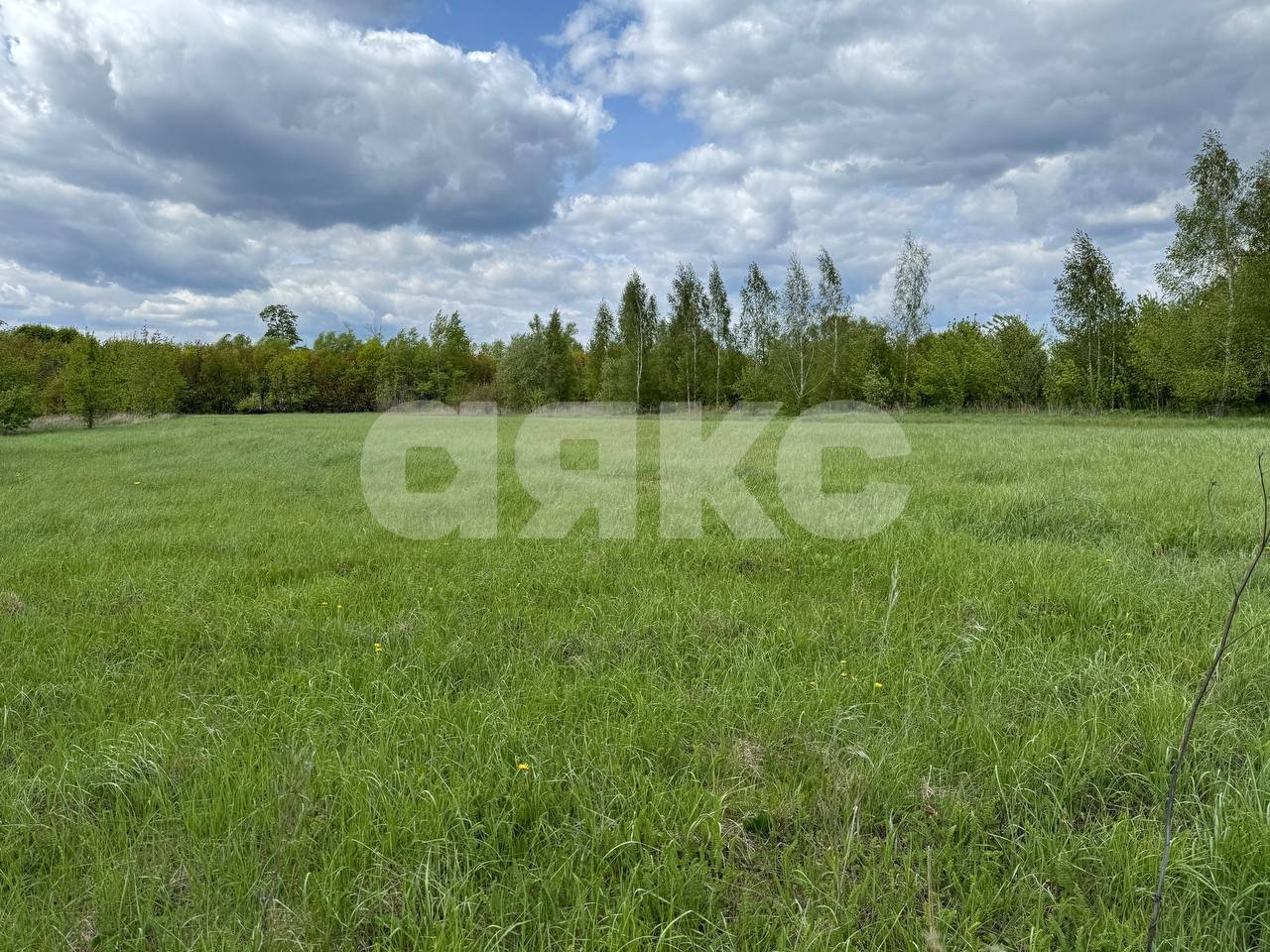 Фото №28: Дом 74 м² + 40 сот. - Становая, 2