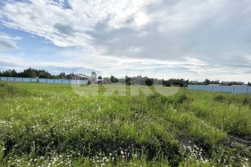 Фото №5: Личное подсобное хозяйство - Раменское, мкр. КП Дергаево-3, ул. Январская