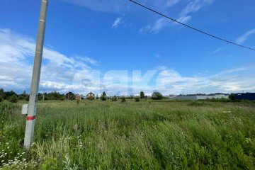 Фото №3: Личное подсобное хозяйство - Раменское, мкр. КП Дергаево-3, ул. Январская