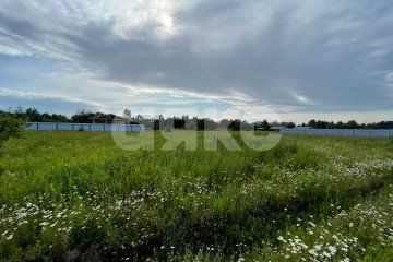 Фото №4: Личное подсобное хозяйство - Раменское, мкр. КП Дергаево-3, ул. Январская